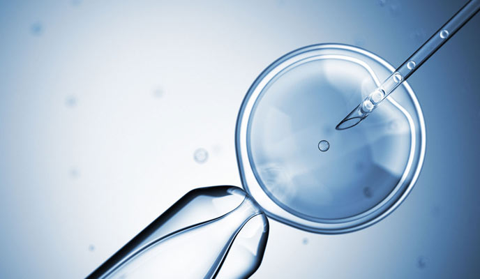 Fertility preservation in endometrial cancer patients